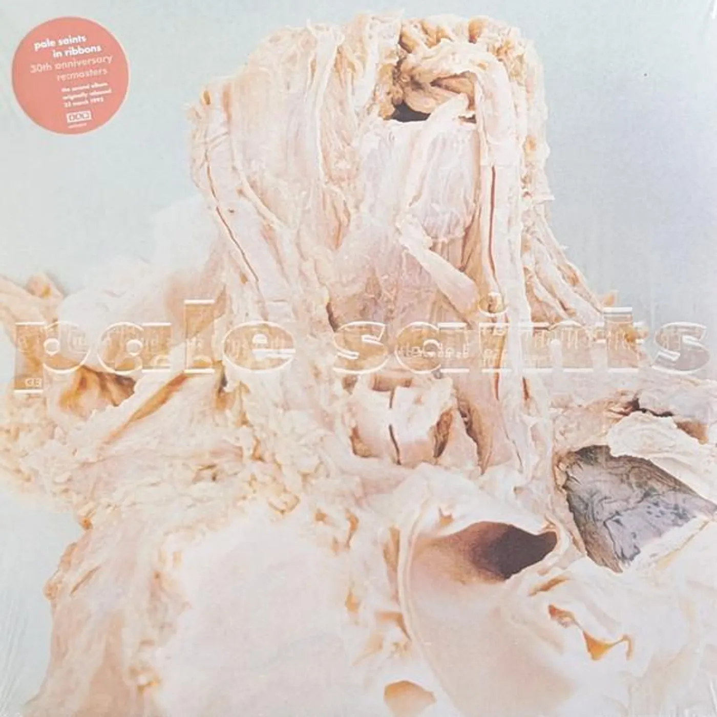 Pale Saints IN RIBBONS Vinyl Record