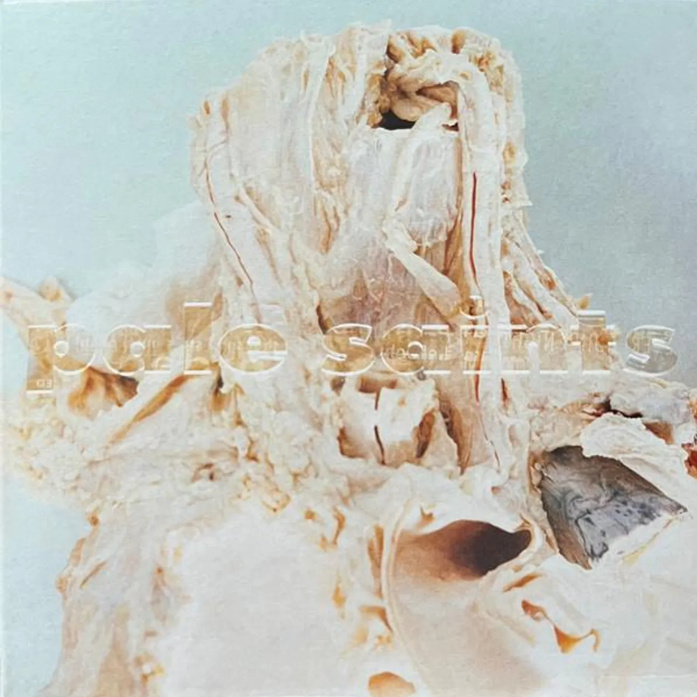 Pale Saints IN RIBBONS CD
