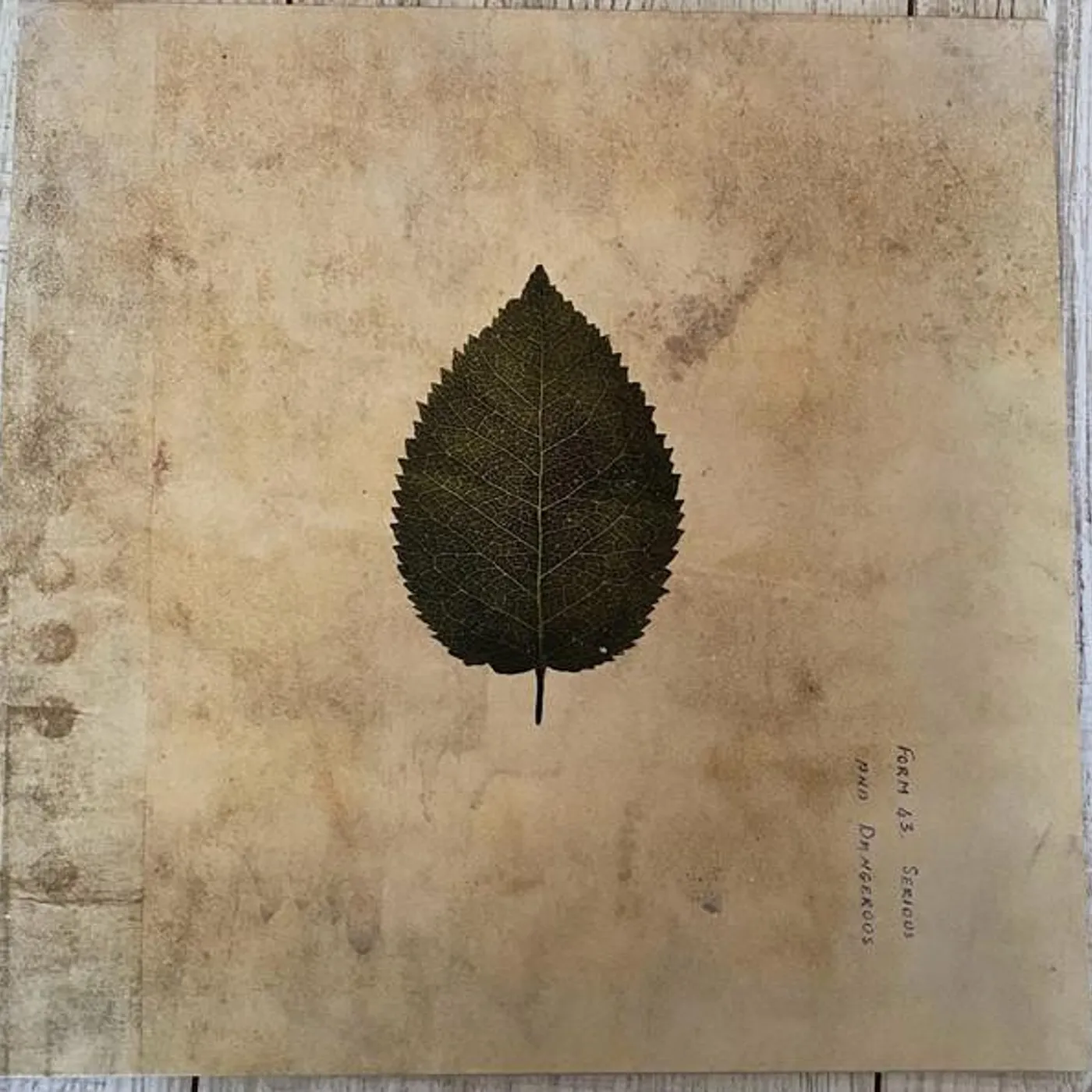 Boxer Rebellion COLD STILL Vinyl Record