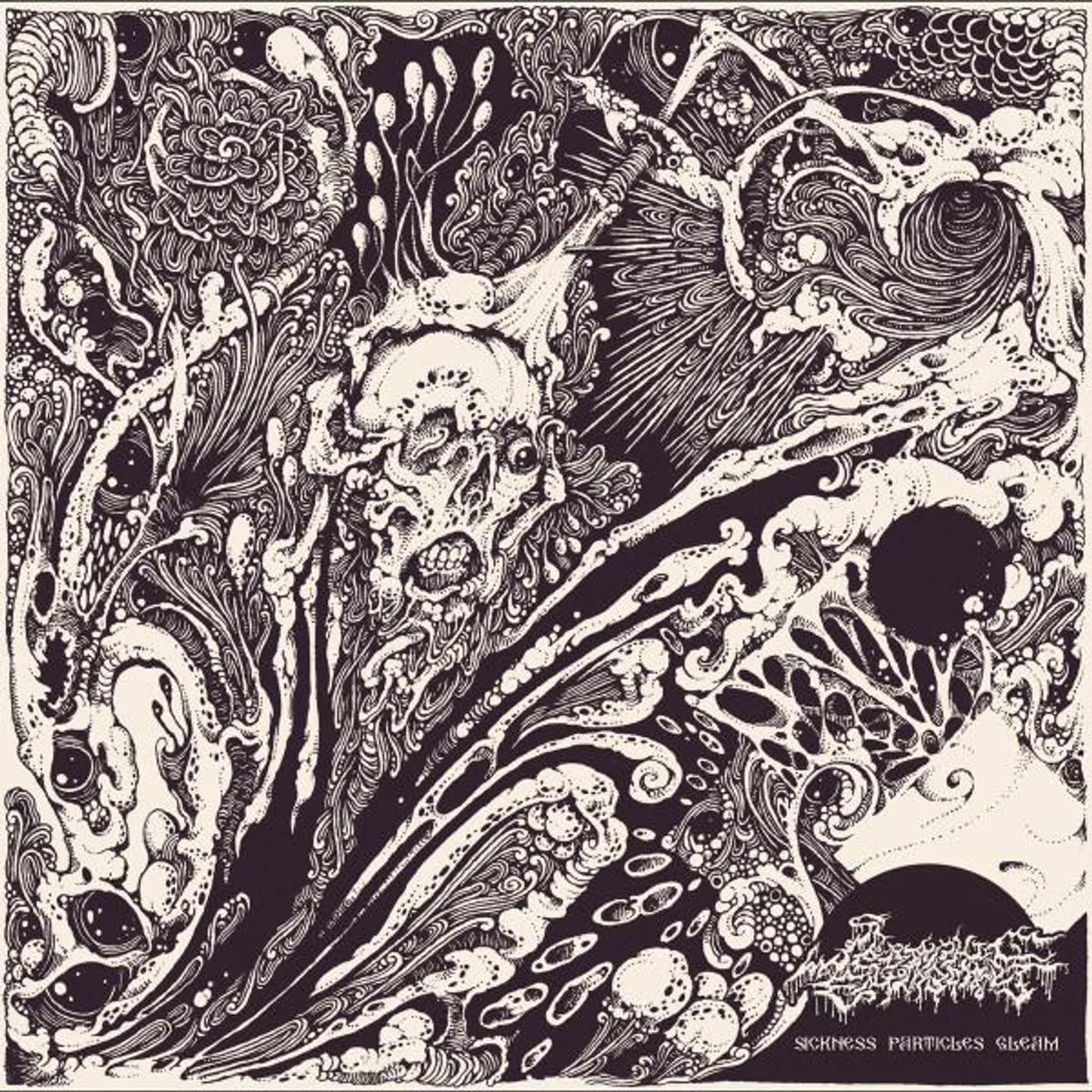 Seraphic Entombment SICKNESS PARTICLES GLEAM CD