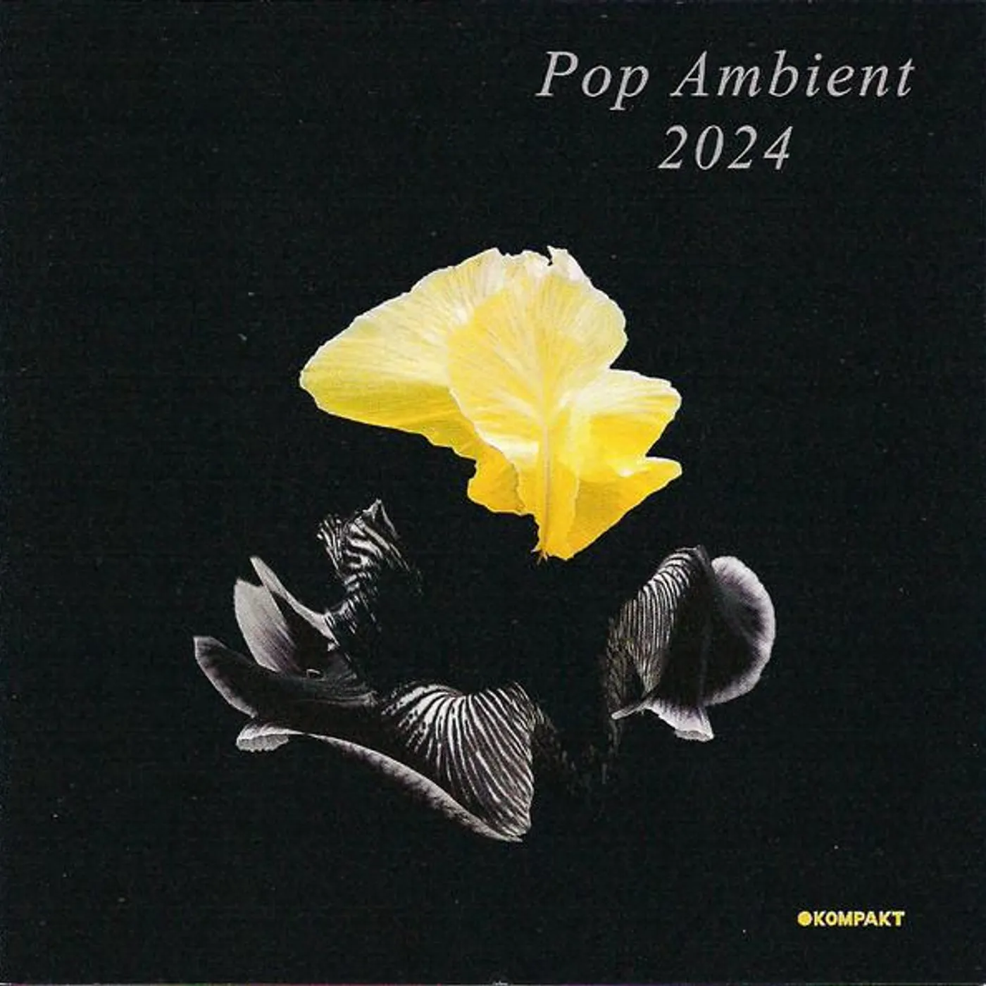 Various Artists  POP AMBIENT 2024 CD