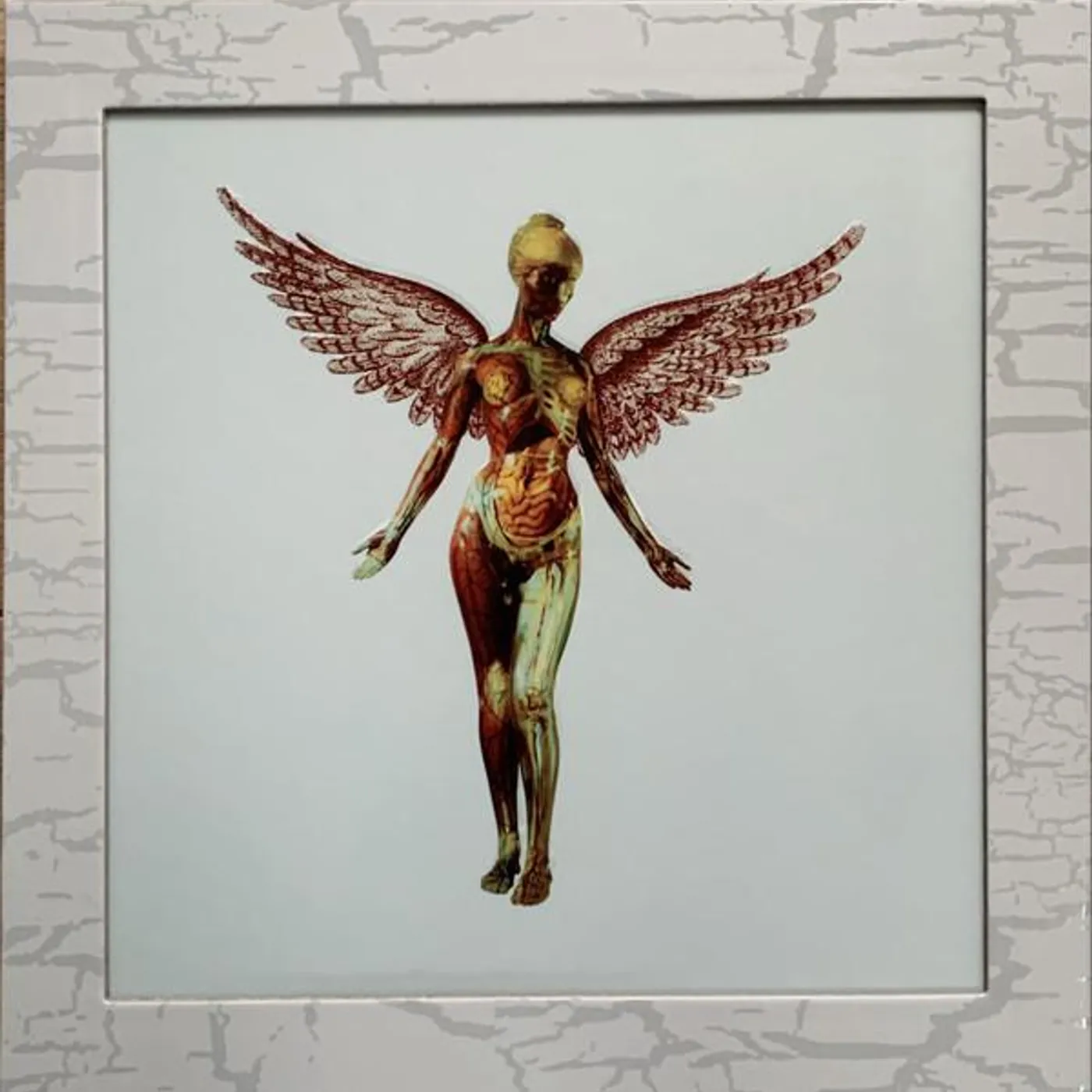 Nirvana IN UTERO (30TH ANNIVERSARY) (5CD) CD