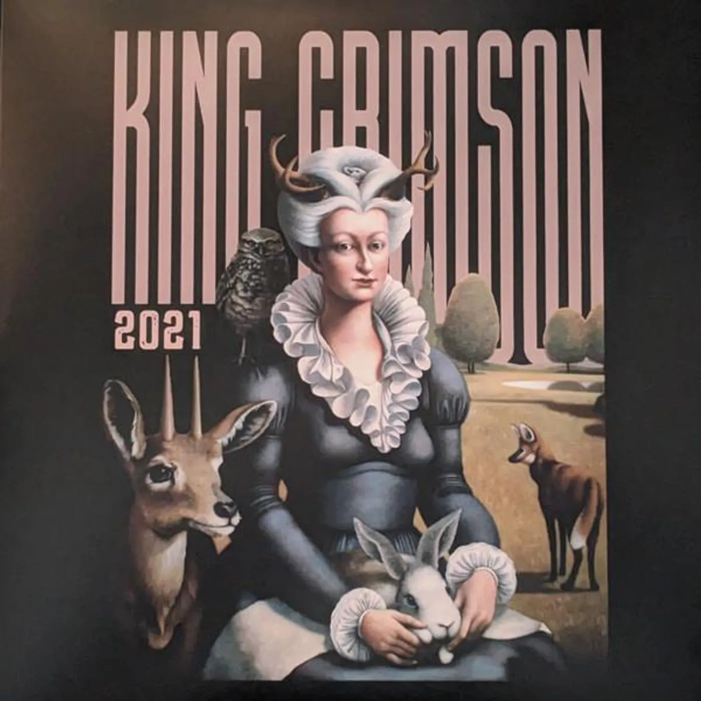 King Crimson MUSIC IS OUR FRIEND (LIVE IN WASHINGTON & ALBANY. 2021) (200G/3LP) Vinyl Record