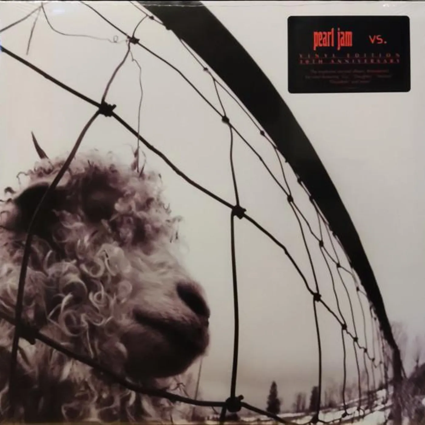 Pearl Jam Vs. (30Th Anniversary) (2LP/180G/45Rpm) Vinyl Record