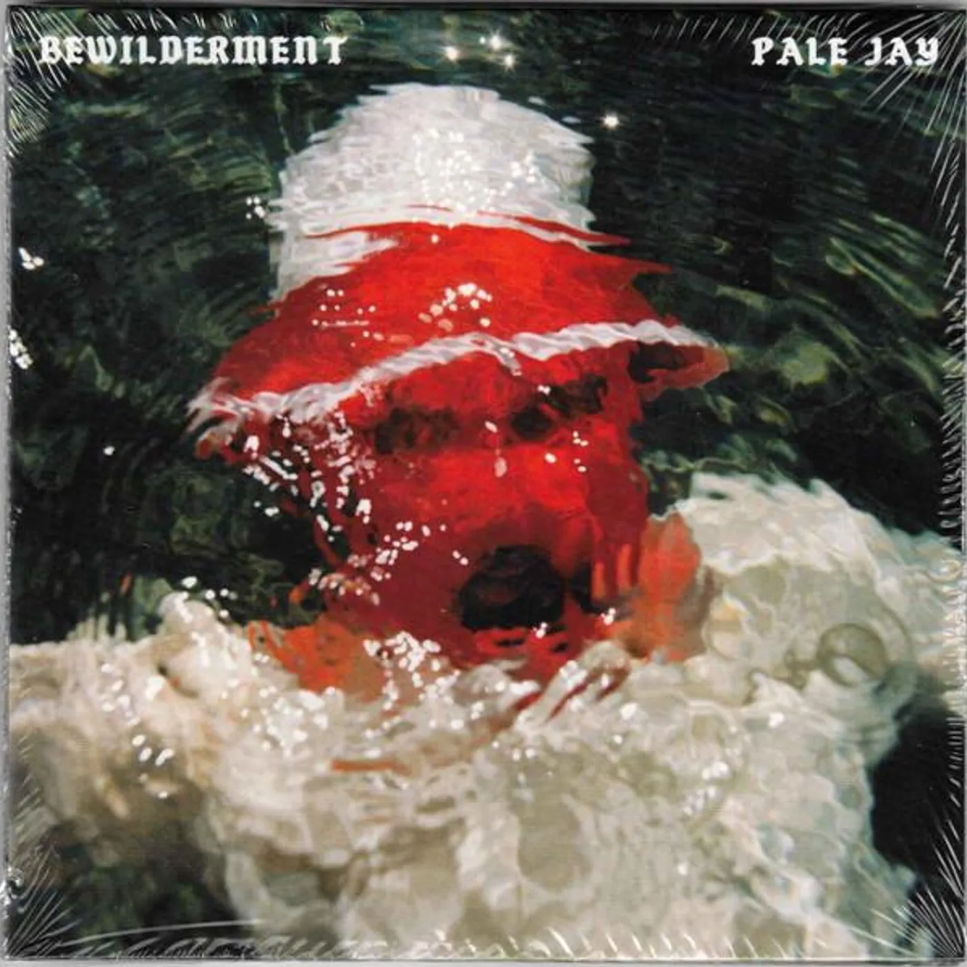 Pale Jay BEWILDERMENT CD
