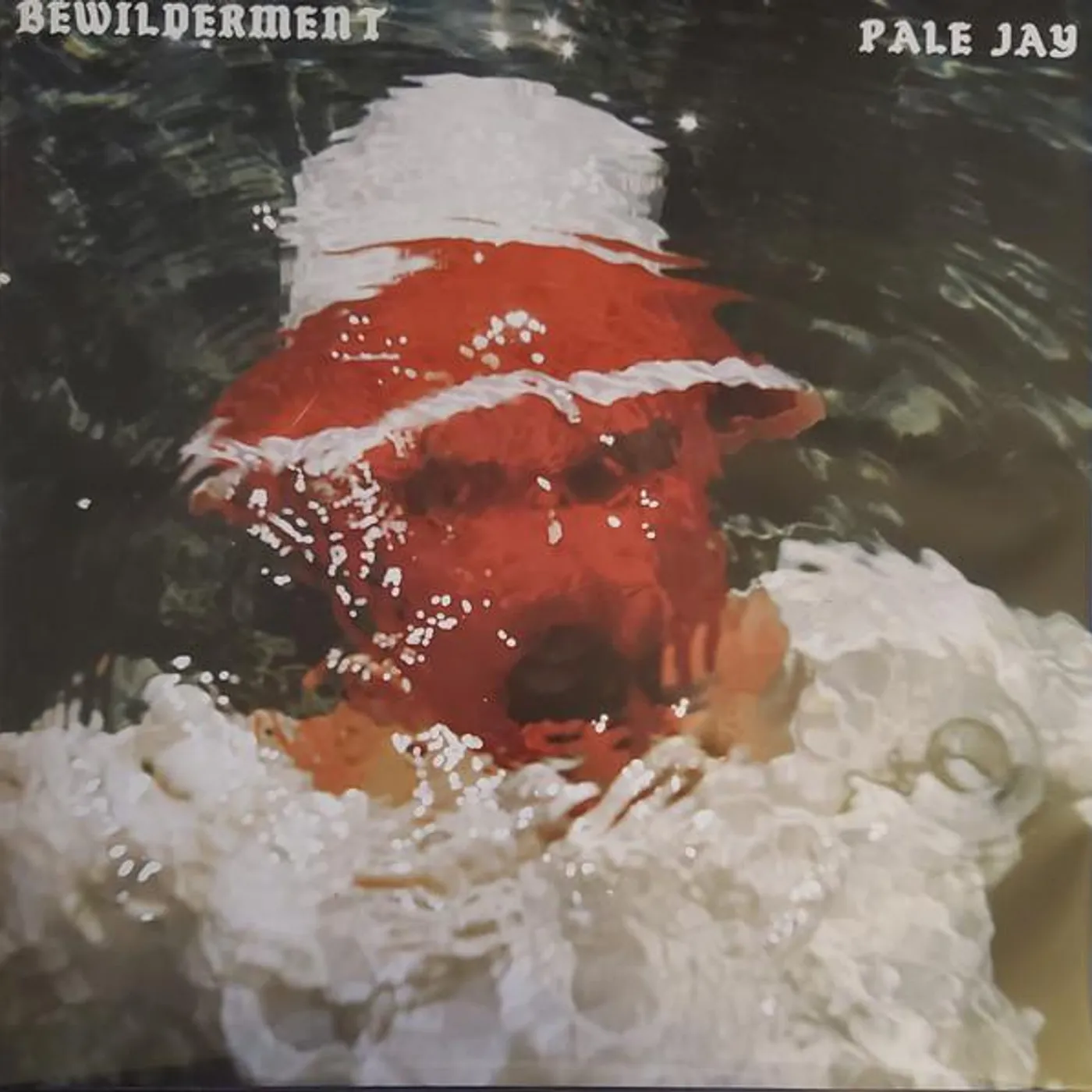 Pale Jay BEWILDERMENT Vinyl Record