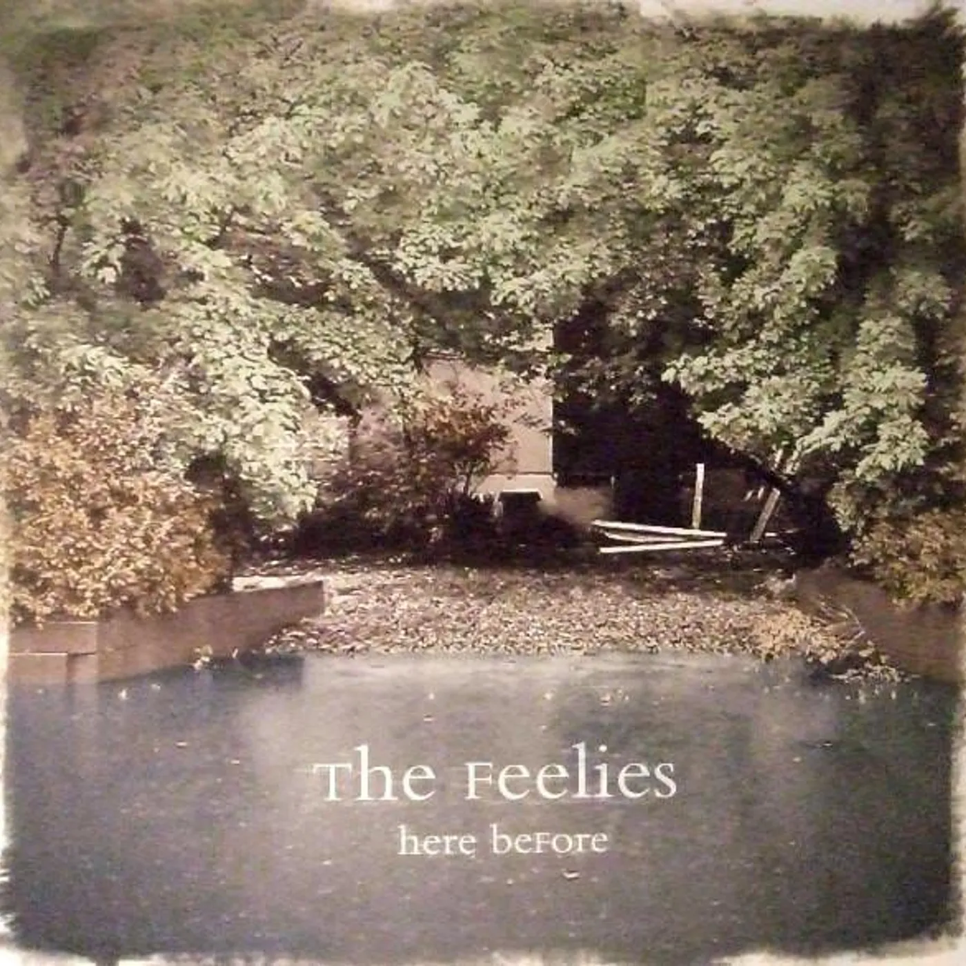 The Feelies Here Before Vinyl Record