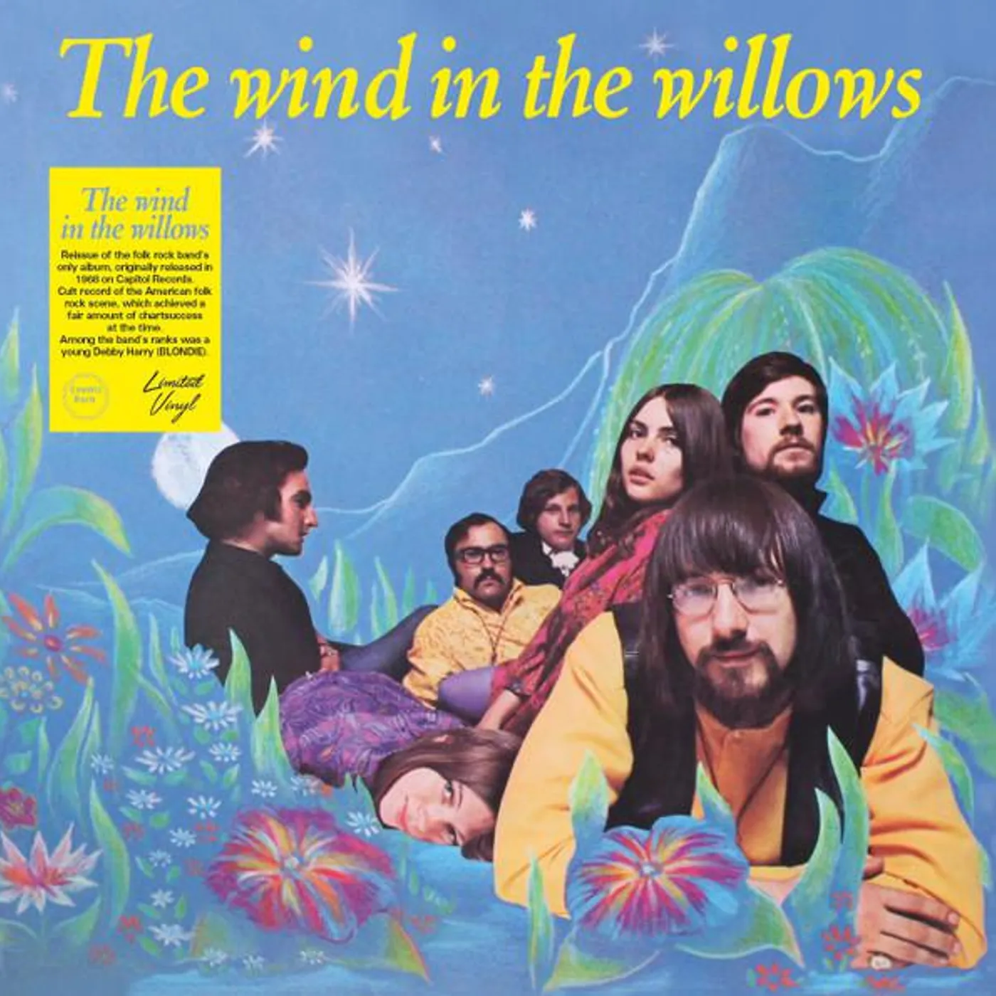 The Wind In The Willows Vinyl Record