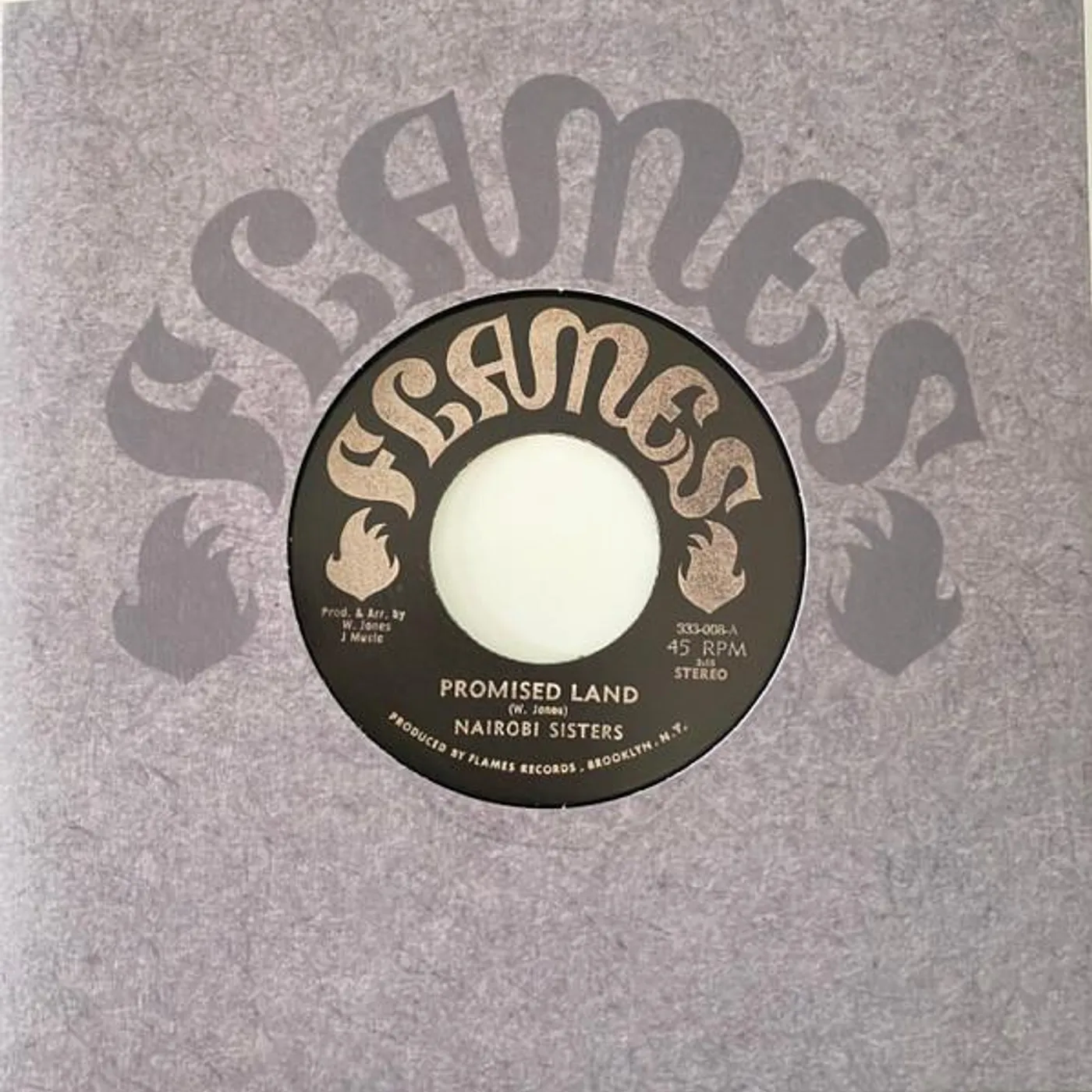 Nairobi Sisters PROMISED LAND Vinyl Record
