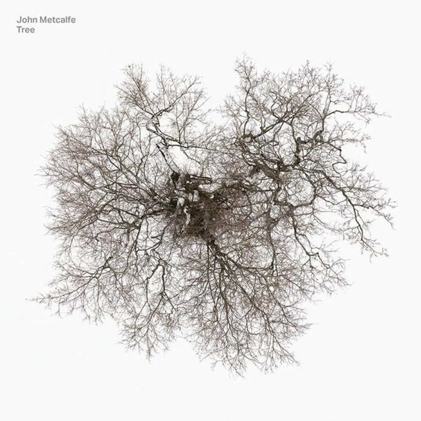 John Metcalfe TREE Vinyl Record
