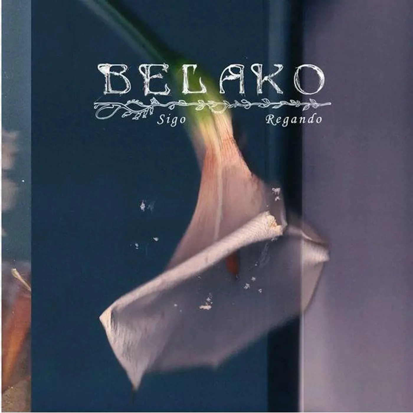 Belako Sigo Regando (Limited Transparent) Vinyl Record