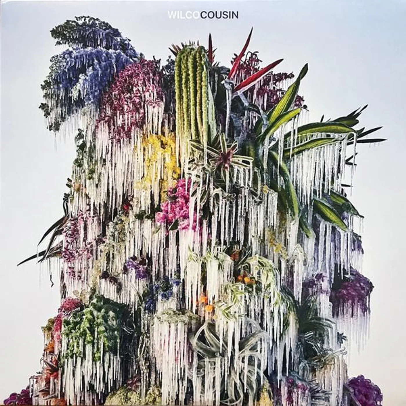 Wilco COUSIN Vinyl Record