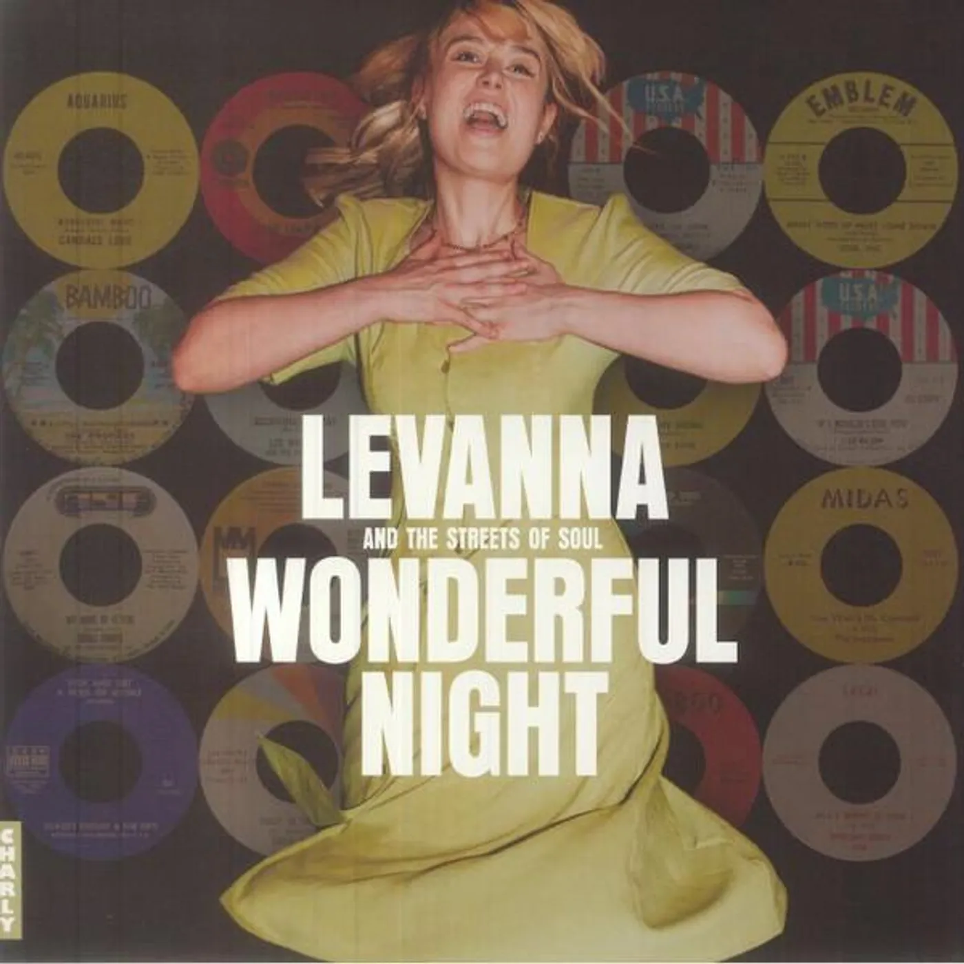 Various Artists  WONDERFUL NIGHT Vinyl Record