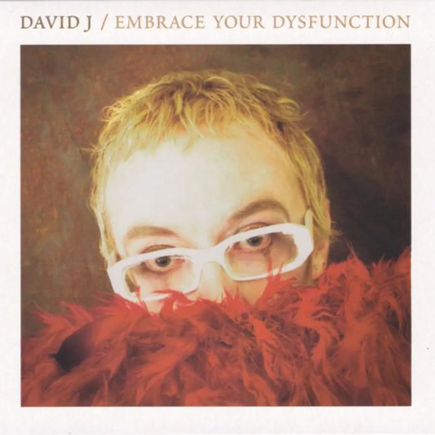 David J EMBRACE YOUR DYSFUNCTION CD