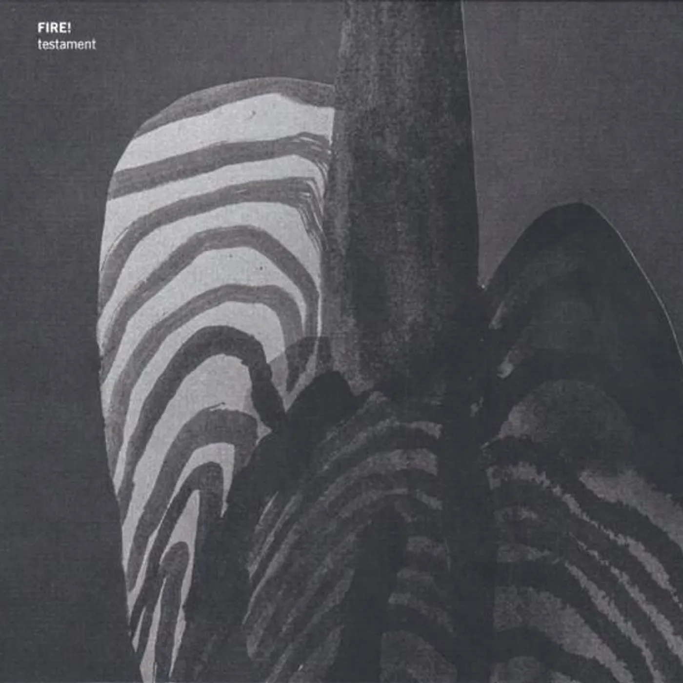 Fire TESTAMENT CD