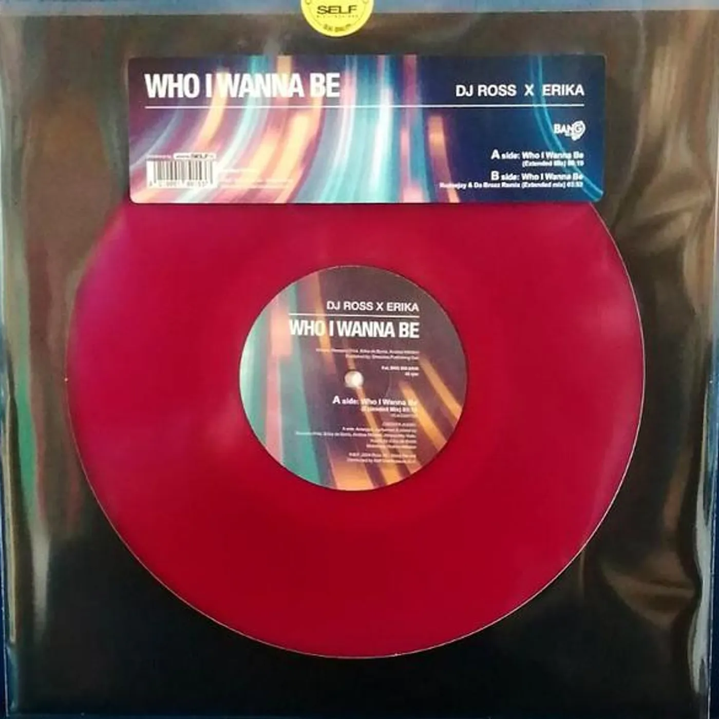 Dj Ross / Erika WHO I WANNA BE Vinyl Record