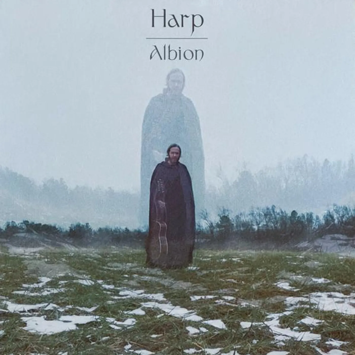 Harp Albion Vinyl Record