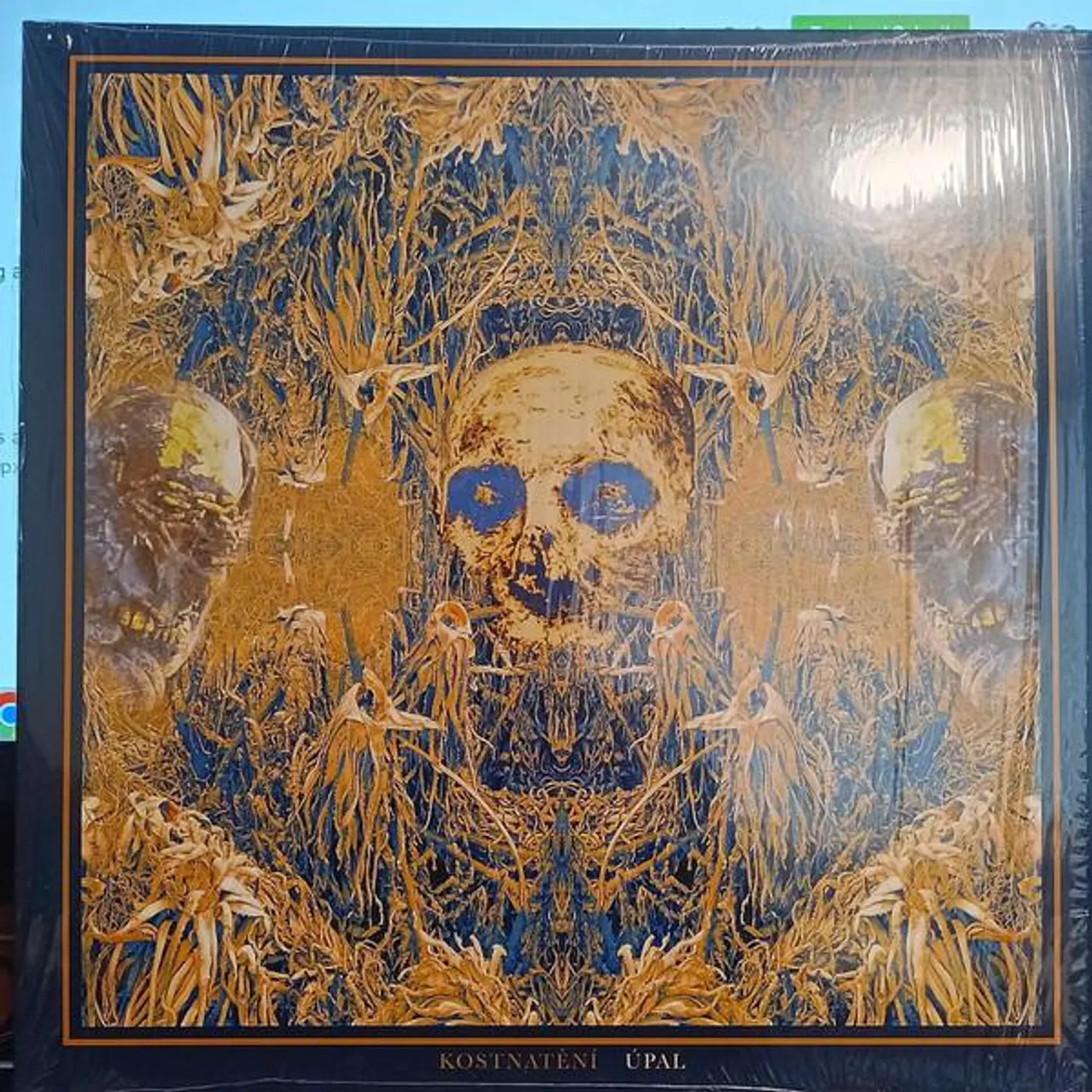 Kostnatění UPAL (RANDOM COLOR VINYL) Vinyl Record
