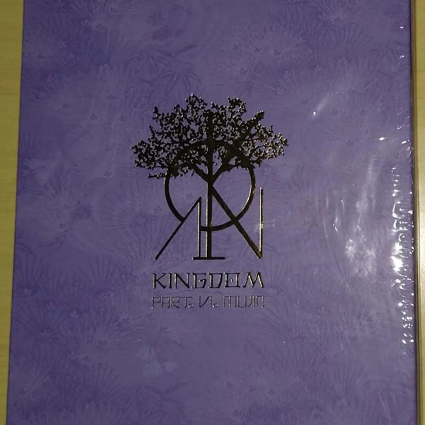 HISTORY OF KINGDOM : PART 6 CD