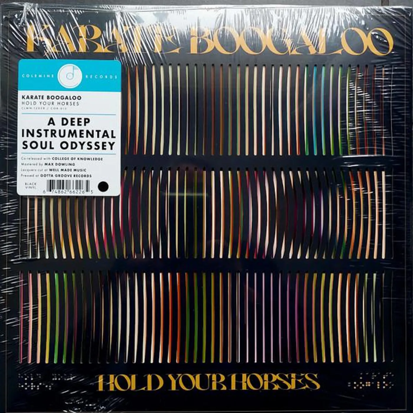 Karate Boogaloo HOLD YOUR HORSES Vinyl Record