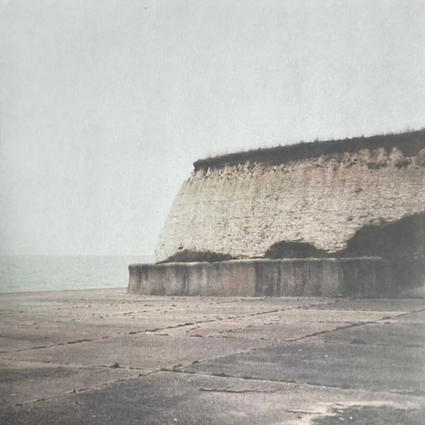 Girls In Synthesis SUBLIMATION Vinyl Record