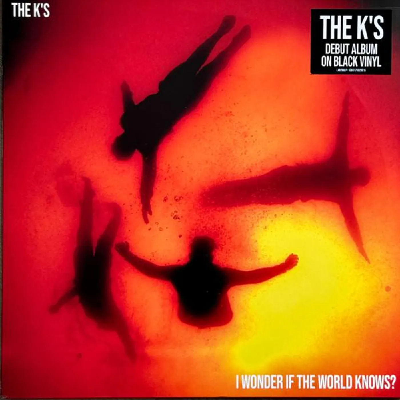 K'S I WONDER IF THE WORLD KNOWS? Vinyl Record