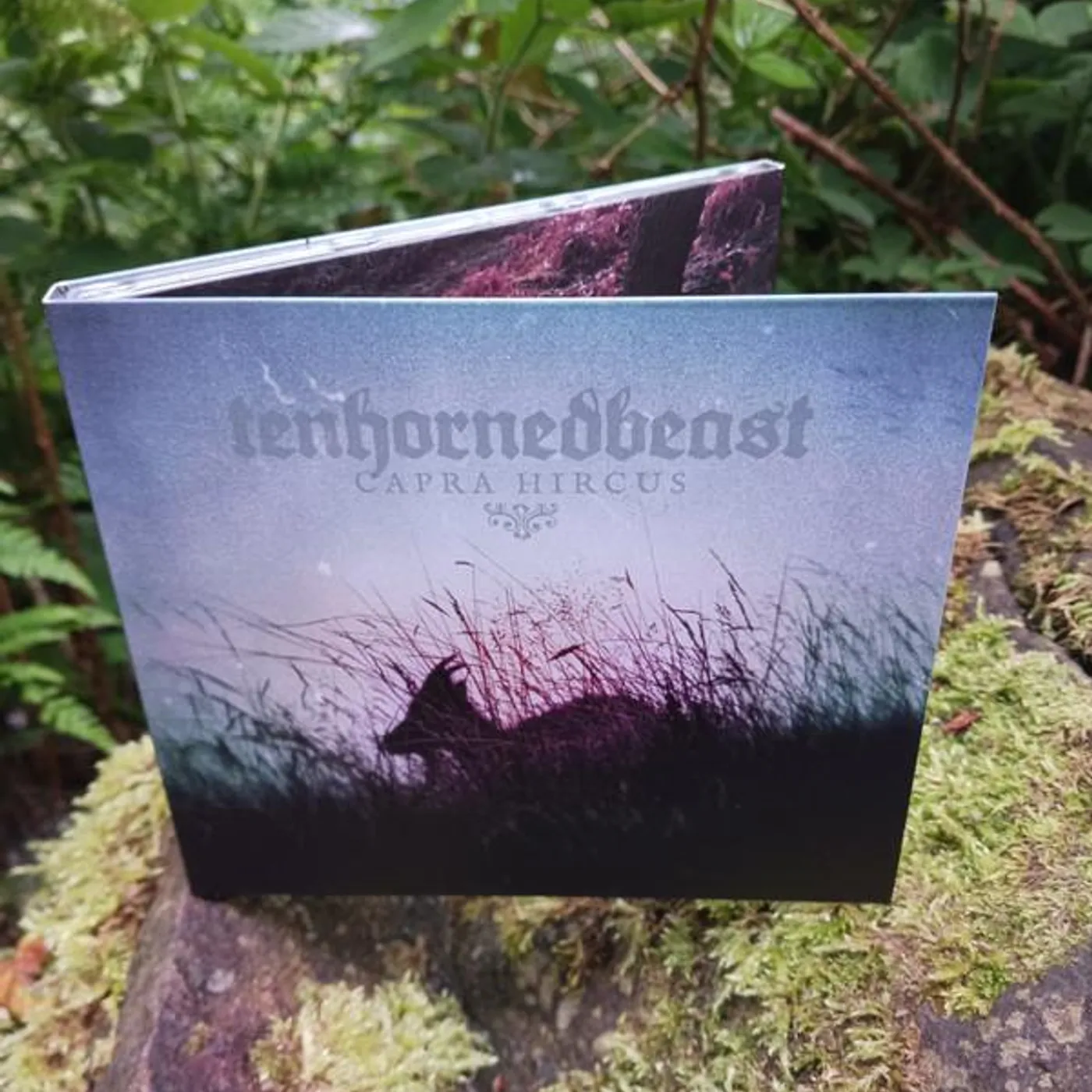 TenHornedBeast CAPRA HIRCUS CD