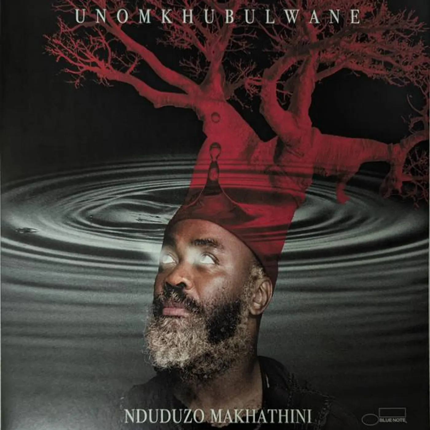 Nduduzo Makhathini UNOMKHUBULWANE (2LP) Vinyl Record