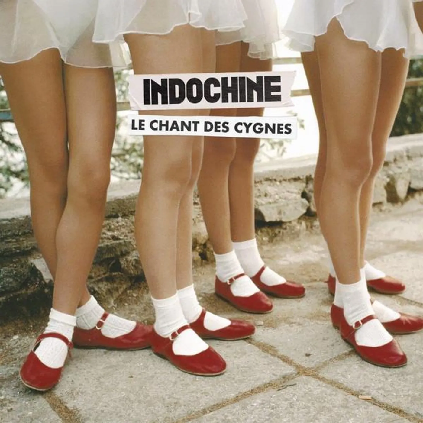 Indochine LE CHANT DES CYGNES Vinyl Record