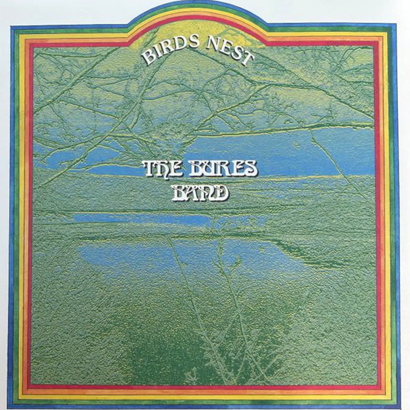 The Bures Band Birds Nest (Light Blue Colored) Vinyl Record