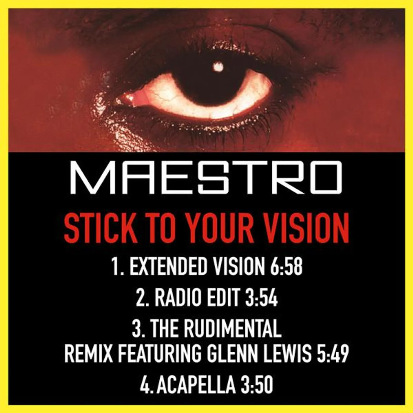 Maestro STICK TO YOUR VISION Vinyl Record