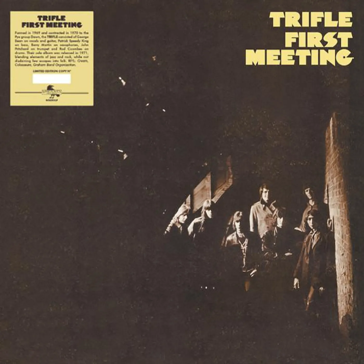 Trifle First Meeting Vinyl Record