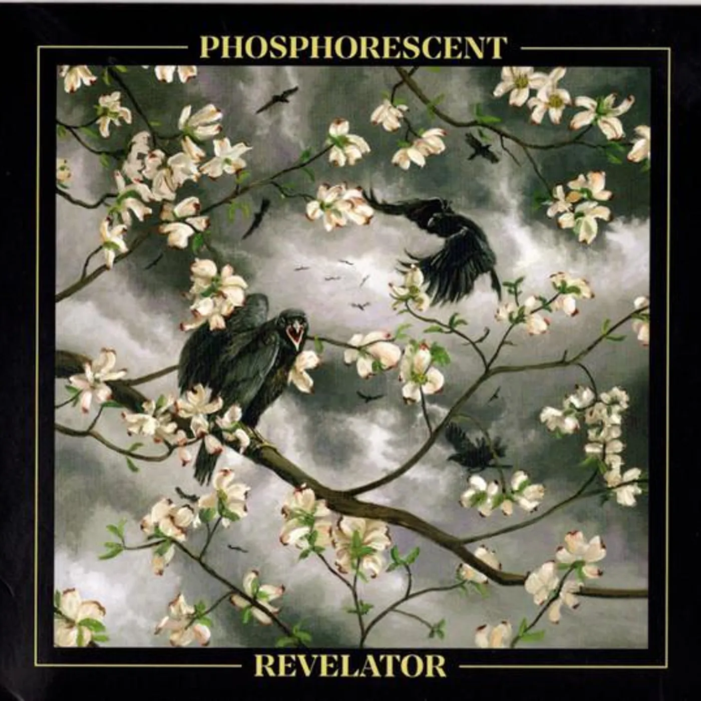 Phosphorescent REVELATOR CD