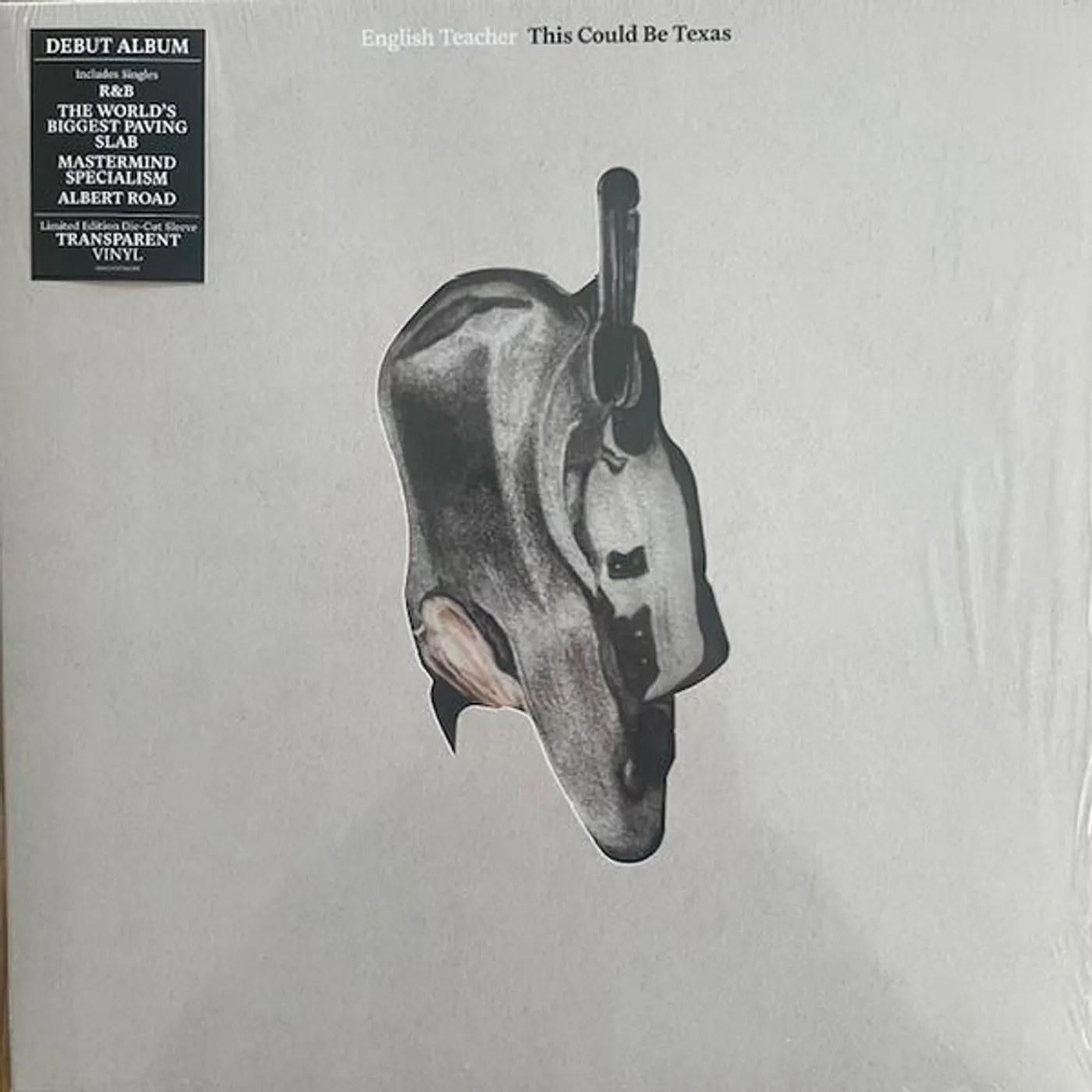 English Teacher THIS COULD BE TEXAS Vinyl Record