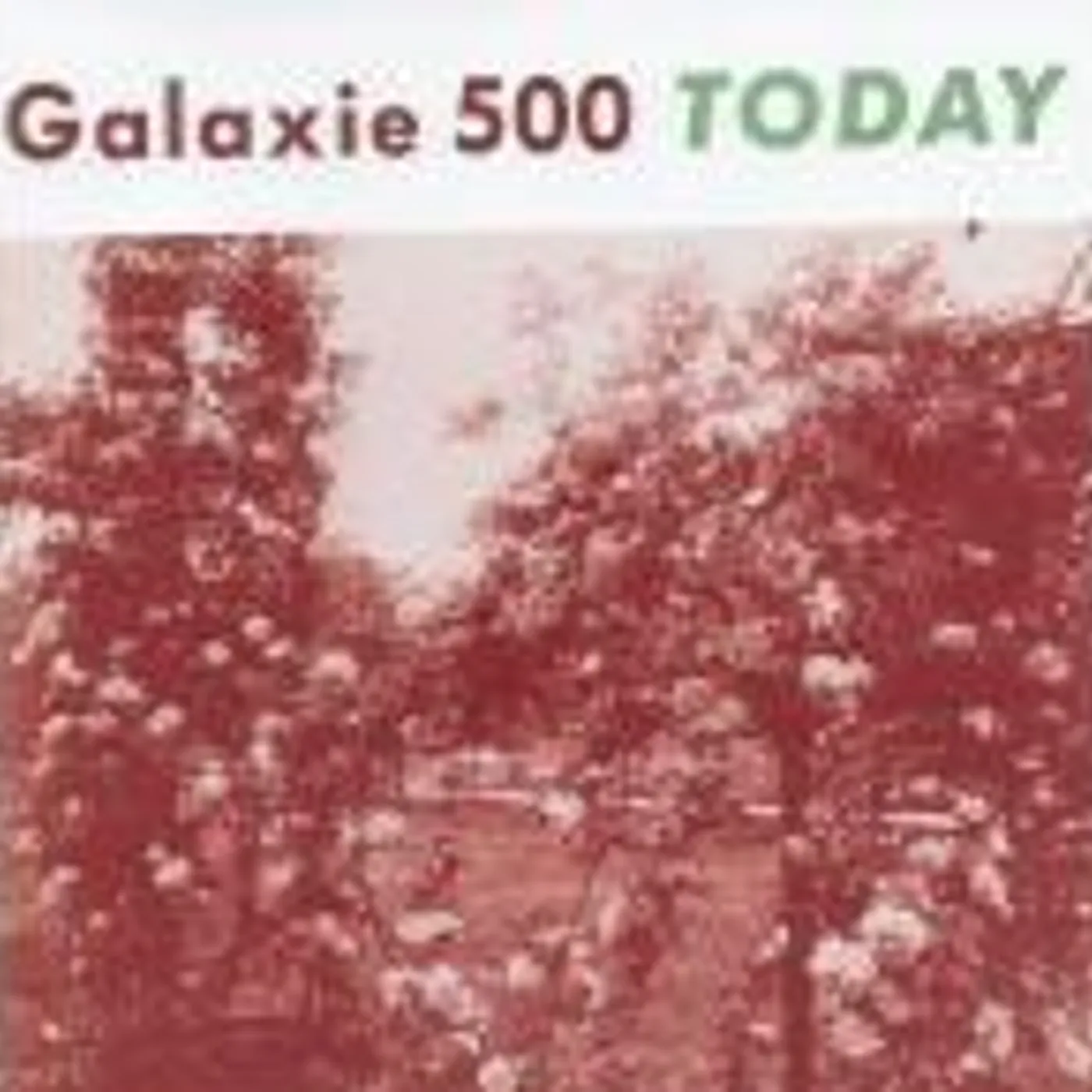 Galaxie 500 TODAY (+ UNCOLLECTED) CD