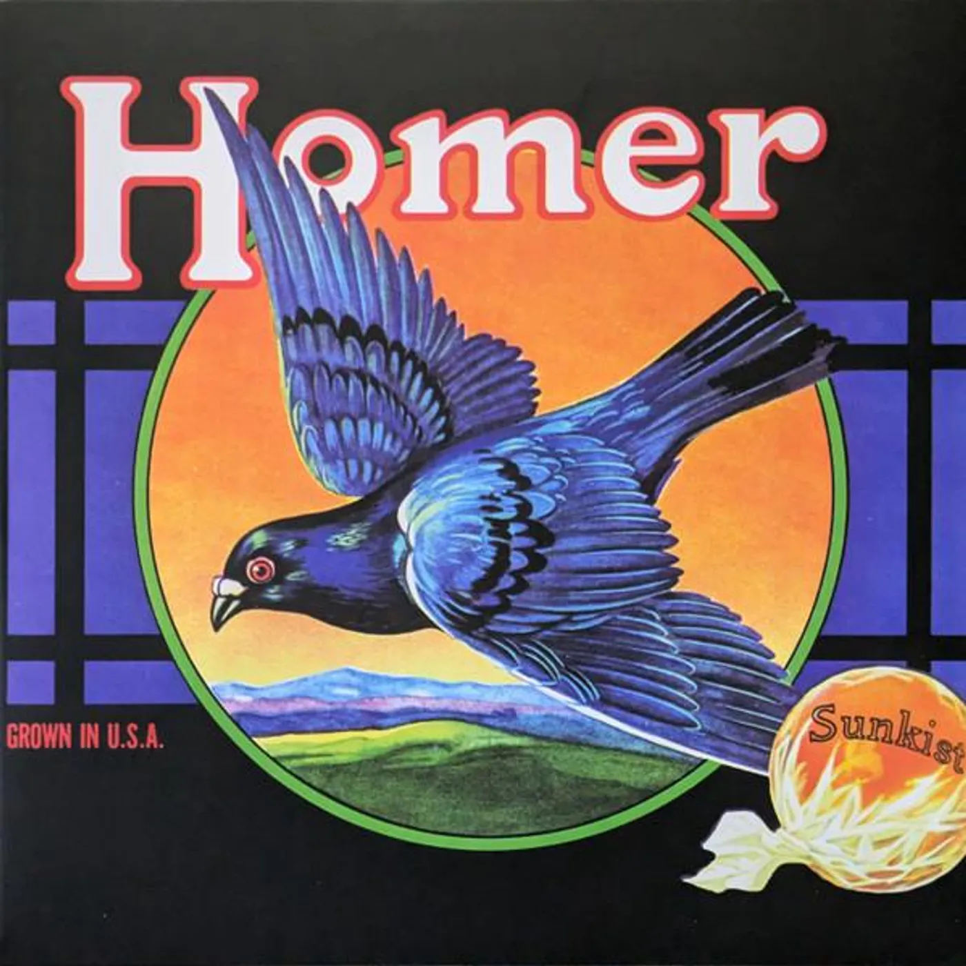 Homer GROWN IN U.S.A. Vinyl Record