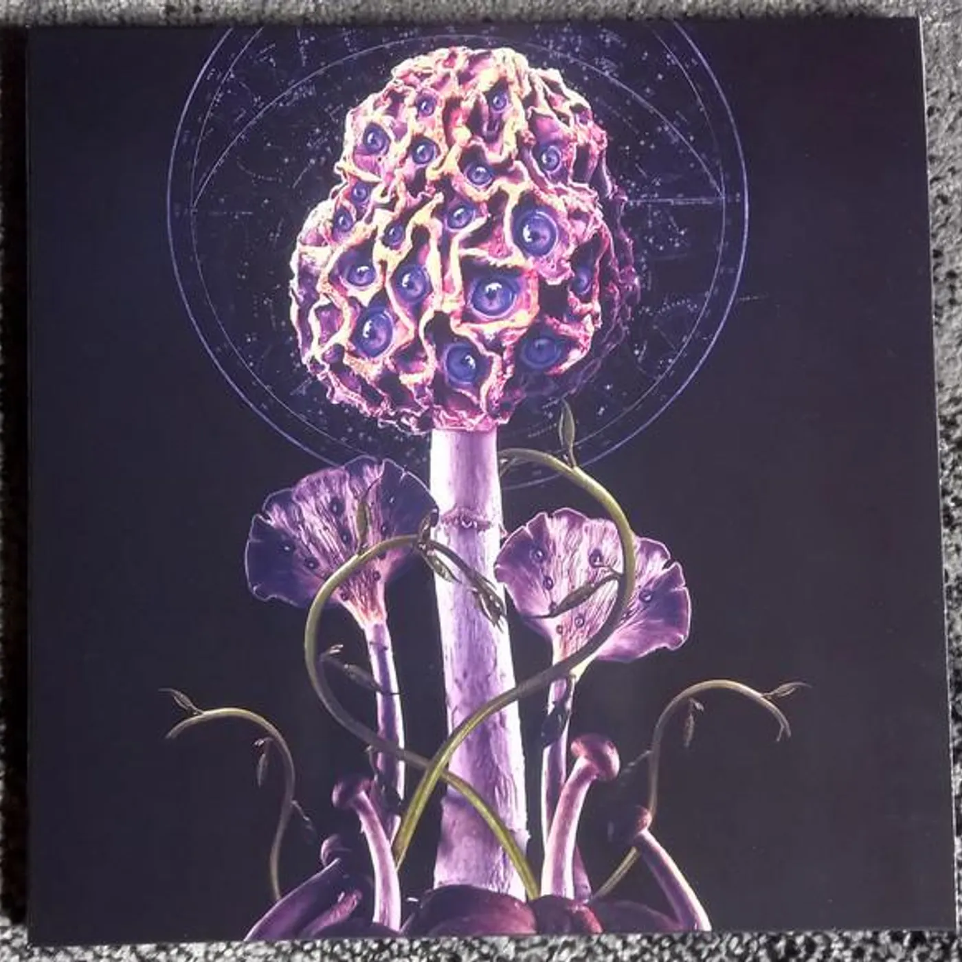 Blut Aus Nord HALLUCINOGEN Vinyl Record