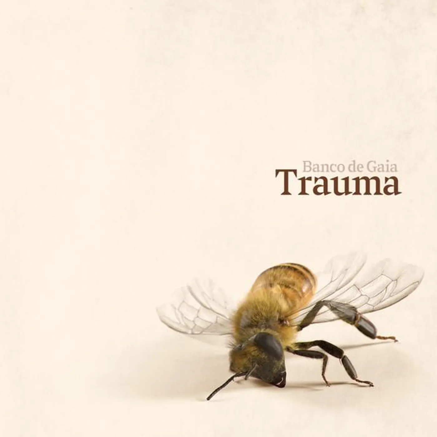 Banco De Gaia TRAUMA Vinyl Record