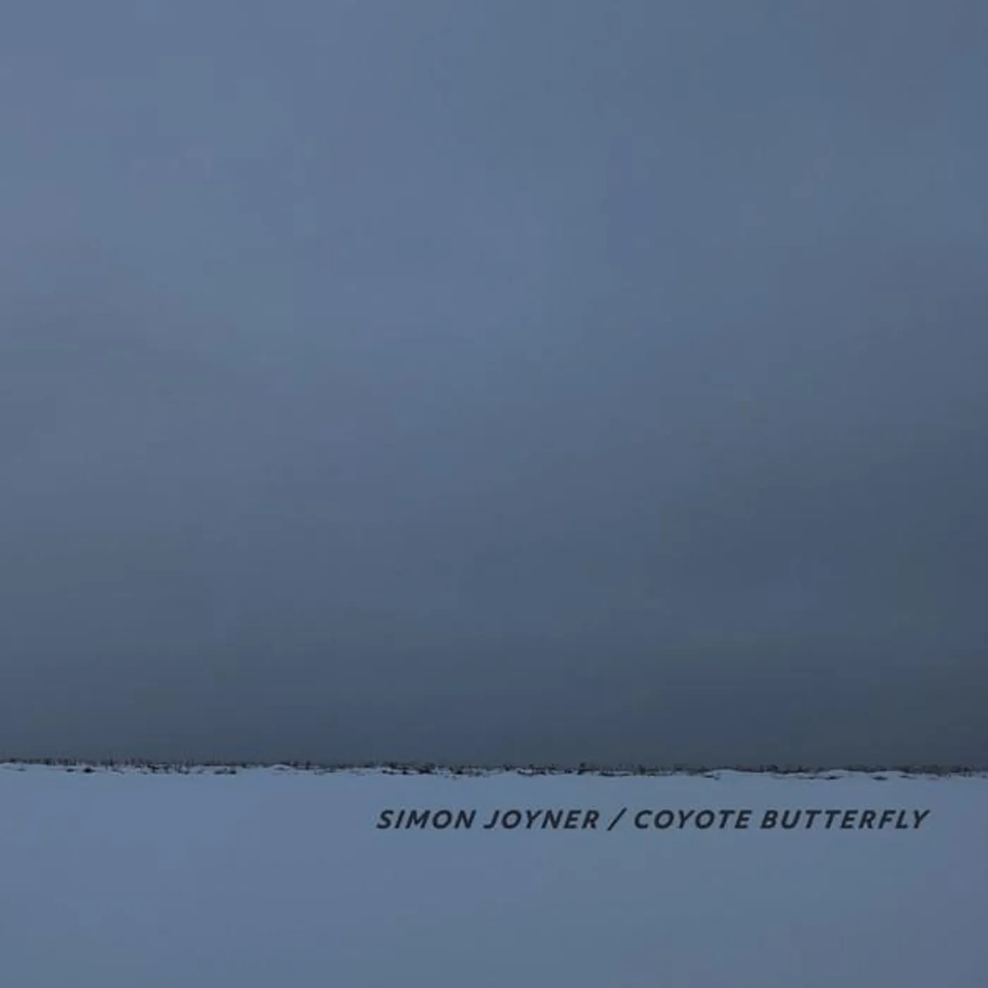 Simon Joyner COYOTE BUTTERFLY CD