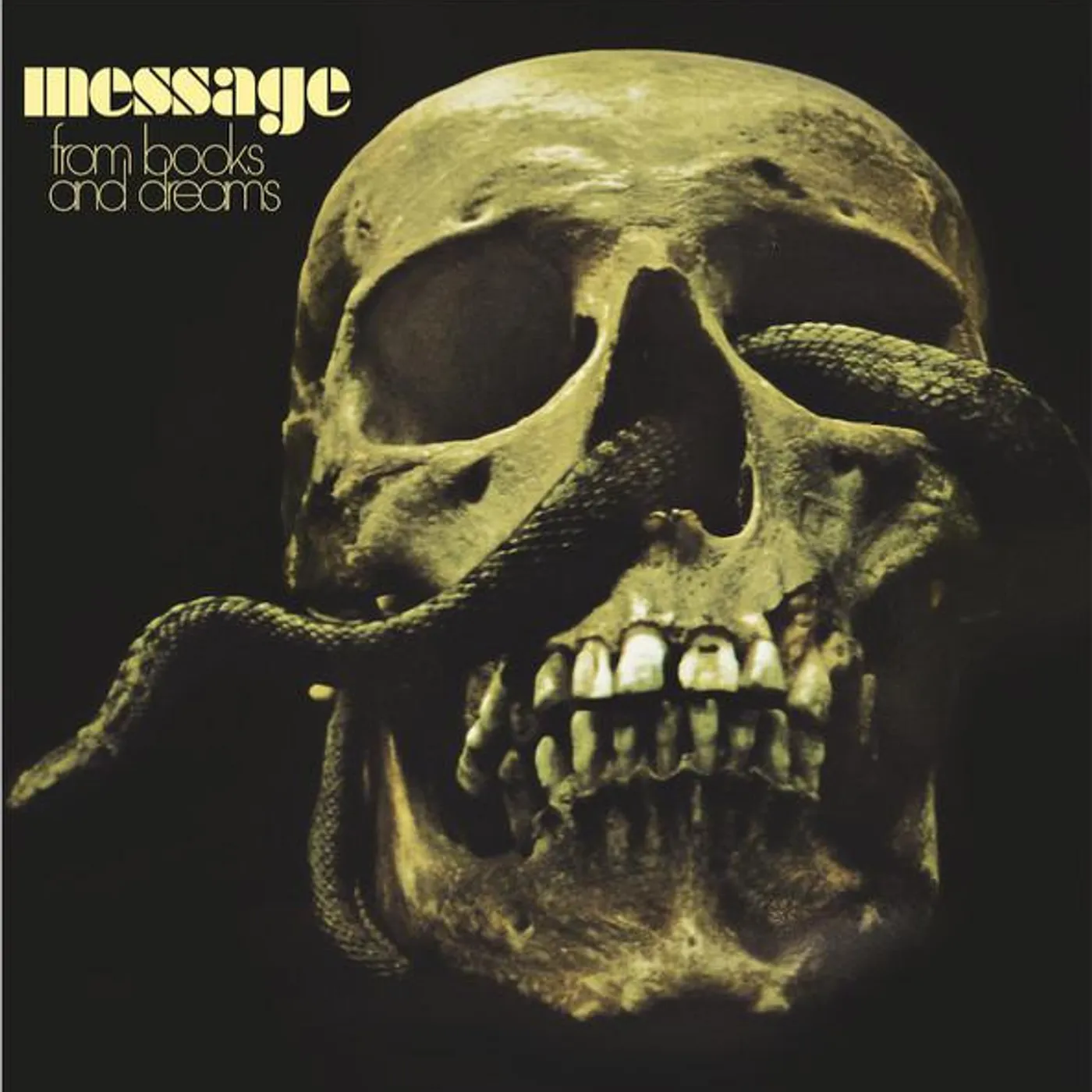 The Message FROM BOOKS & DREAMS Vinyl Record