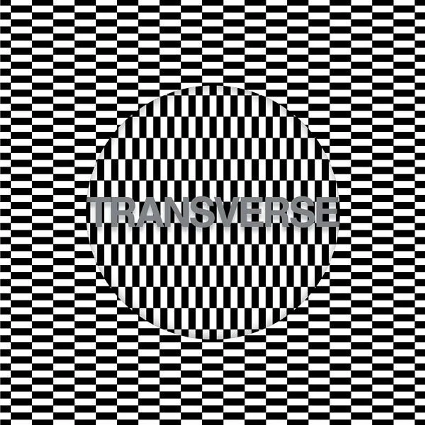Carter Tutti Void Transverse Vinyl Record