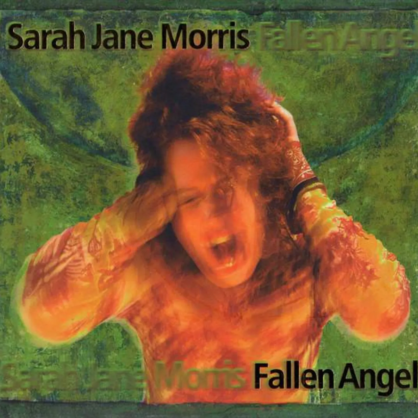 Sarah Jane Morris FALLEN ANGEL CD