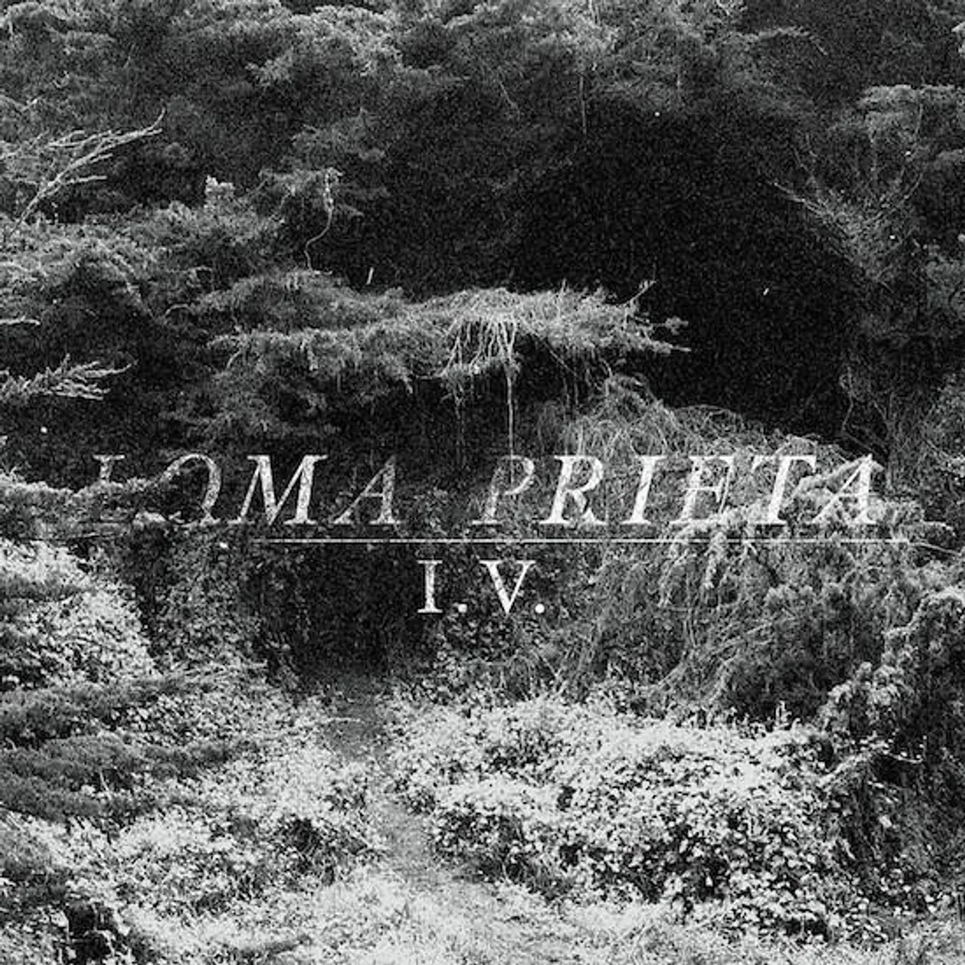 Loma Prieta I.V. Vinyl Record