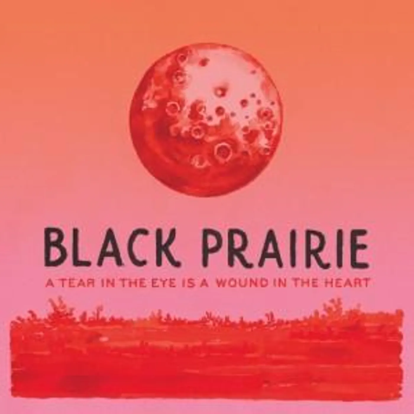 Black Prairie TEAR IN EYE IS A WOUND IN THE HEART Vinyl Record