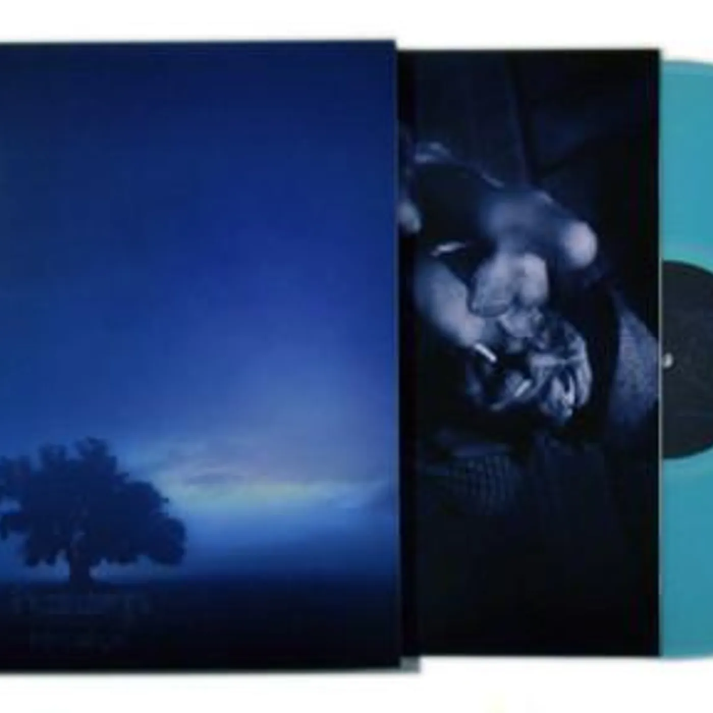 haarp Husks Vinyl Record