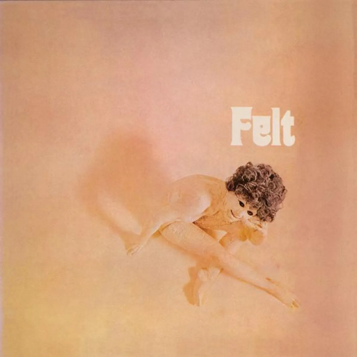 FELT Vinyl Record