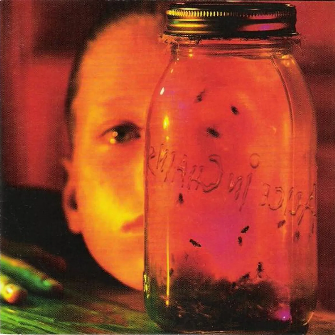Alice In Chains JAR OF FLIES CD
