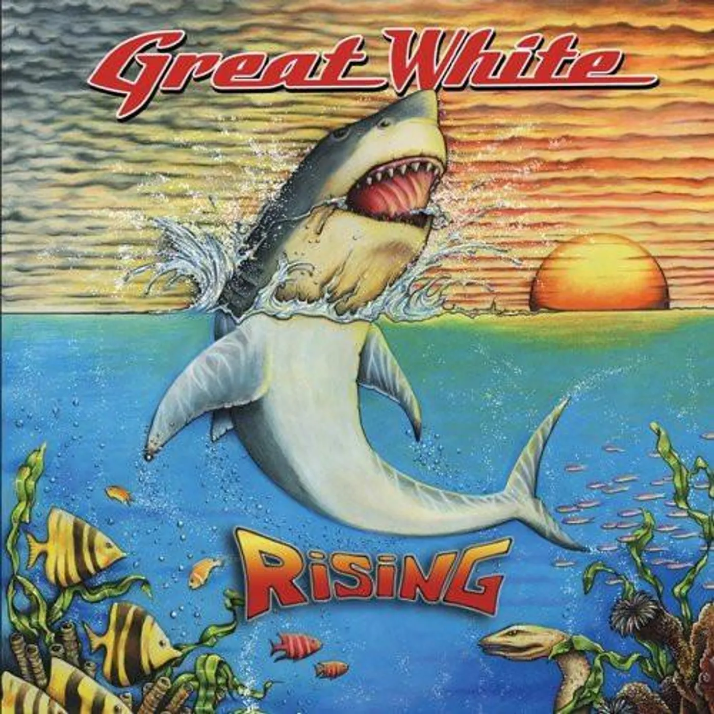 Great White RISING CD