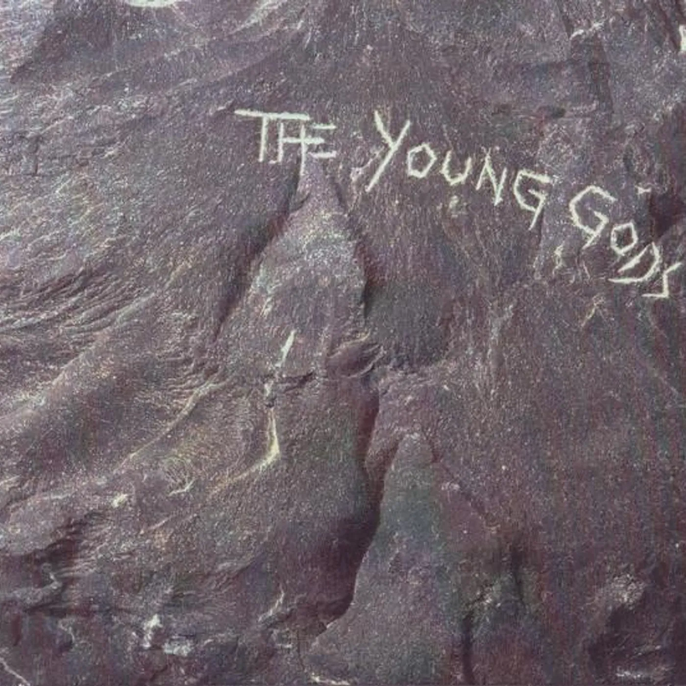 The Young Gods CD