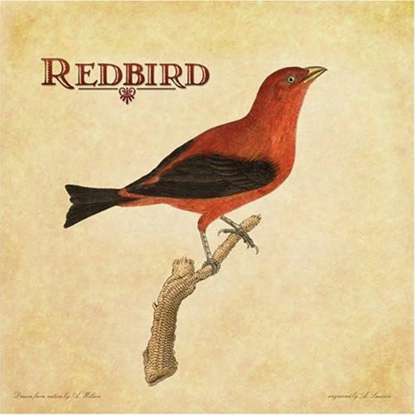 REDBIRD CD